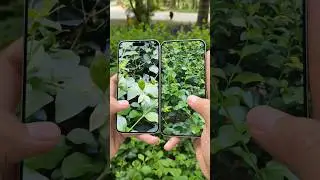 Honor 400 vs OPPO Reno 14! Which one is better in appearance and photography?