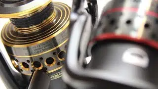 Penn Battle II vs Penn Fierce II: What's the Difference? | Comparison and Review