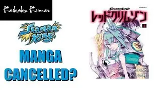 Shaman King Spin-Off Manga Ending?