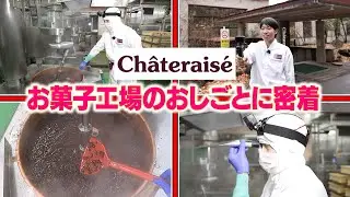 【シャトレーゼ】和菓子工場の中に潜入！工場スタッフに密着してみた【Vlog】【アルバイト】【パート】【工場】【おしごと百花】