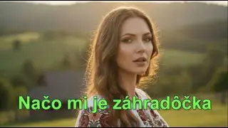 👉👉Načo mi je záhradôčka - #duet #aimusiclab  #slovensko #animation #booktok #music #film