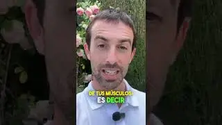 Pasos Progresivos para Aliviar el Dolor de Espalda a Trav&eacute;s del Ejercicio Hablamos sobre los pasos