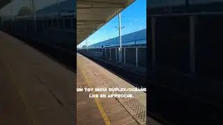 [Trains] Spot de TGV sur deux quais (3 et 4) à Avignon TGV.