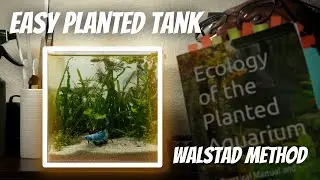 I MADE A NANO PLANTED TANK BY THE BOOK | WALSTAD METHOD | EASY AQUARIUM BUILD