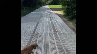 A walk around Boston Manor Park for my siblings August 2023