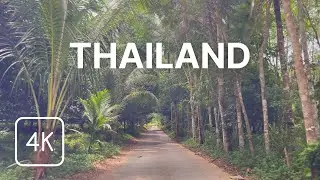 Thailand 4K - Country Road Driving - Scenic Drive 🇹🇭