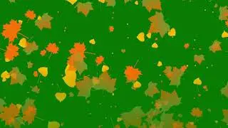 Falling Leaves Green screen l HD