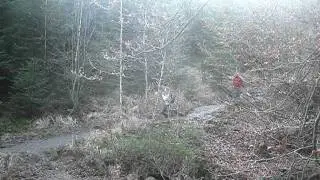 HelleGetzbach 052.AVI
