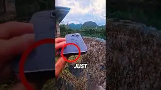 Потрясающий подводный вид 😍