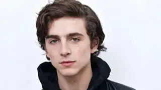 Timothée Chalamet Playdate edit