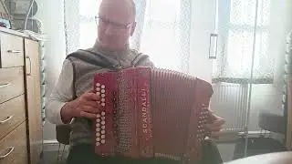 Lietuviska Polkute - Lithuanian Polka Armonika.