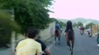 corsa cavalli clandestine pirillo contro not beg