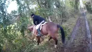 Hoofprints Innovations New UHWK Helmet Cam