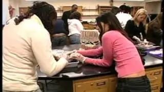 Kingsborough Community College
