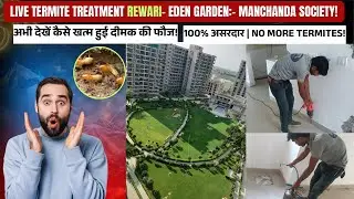 Rewari के Eden Garden में Dimak का पूरा सफाया! देखें Live Termite Treatment Process