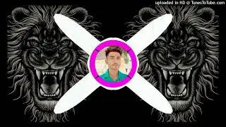 DULHA BAN GAY HAI SRI RAM DJ NIHAL BIRORA (EDM MIX RAI) DJ DEEPAK KHAILAR DJ EKKA SALEEL PRATHVIPUR