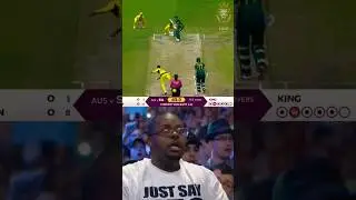 Alana King 7 wickets vs South Africa 🤯💀🥶 || Alana King bowling || A king bowling #alanaking #shorts