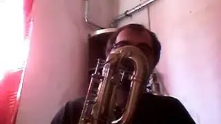 Marco Crestani Baritone sax Sequoia