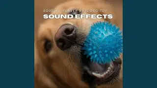 Squeaky Rubber Ball Dog Toy Sound Effects