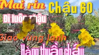 18-1 ☎️0855233237 📲mai rin , giao lưu trong nam , ngoài Bắc