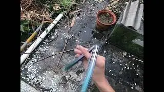 Balisong 脉冲