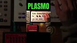 PLASMO Timey-wimey  #acid  #avalonbassline  #MFB-522  #elektron #analogfourmkii