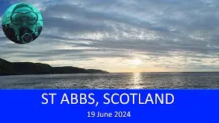 West Hurker - Scuba Diving - St Abbs, Scotland