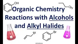 Reactions with Alcohols and Alkyl Halides.