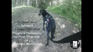 Sei zampe on Air per Radio Derbi Web - Puntata 4/2023 2024 - Calvillano, Villagrande e Montecopiolo