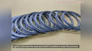 Installation Methods for Rotary Spring Energized Seals