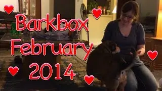 Barkbox - February 2014 - Medium 