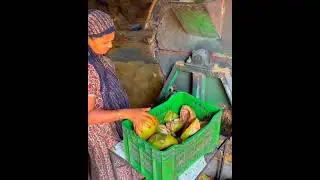 Fabricacion de CUERDA de fibra de COCO