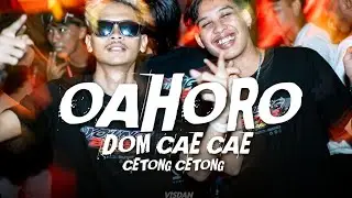 OAHORO X DOM SAE SAE SLOW PARTY - DJ TOPENG REMIX