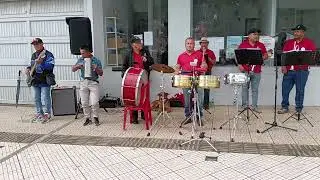 Papayera Santa Cecilia en Sandon&aacute;