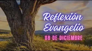 Reflexión evangelio 8 de diciembre #oracion  #evangelioexplicadoymeditado #reflexionesdeldia