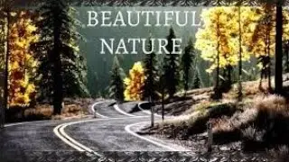 Narang Mandi Punjab Pakistan Beautiful Place Mini Vlog With | Ahmad Ali Zain |