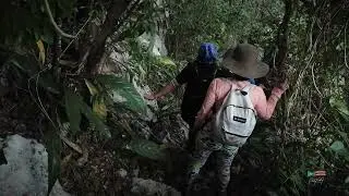 El Pasillo Fr&iacute;o Bosque Rocoso