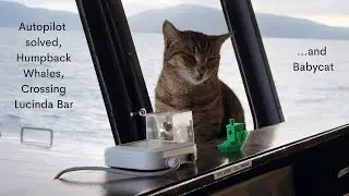 Autopilot, Humpbacks, Bar Crossing and Babycat - Project Brupeg Ep. 417