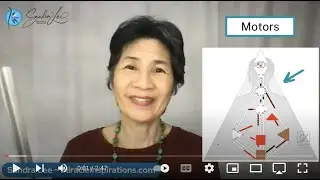 The Motors ~ Foundational Elements of Human Design