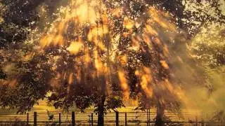 ♫ B-Tribe★Hablando ♫★Звезда по имени СОЛНЦЕ★wmv