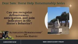 Can you recognize signs of Defensiveness, Anticipation & Pain in the Horse? Dear Sam: Horse Help