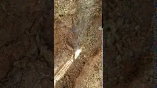 leak1.5Pipe