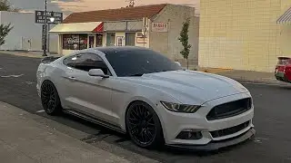Installing ZL1 Addons Wickerbill on my 2015 Ford Mustang!