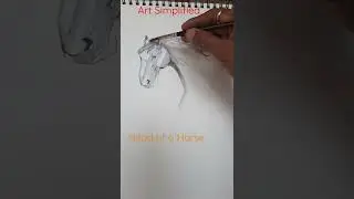 Draw Head of a Horse. #Shorts #arts #creative Art #draw #horse #drawing #sketching