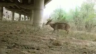 Sustainable Linear Infrastructure (Promo)