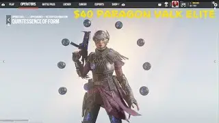 IN DEPTH REVIEW: PARAGON VALK ELITE | $40 DOLLAR SKIN? | R6 SIEGE