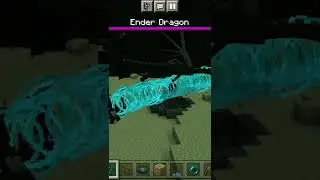 Ender dragon vs warden minecraft shorts video
