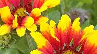 Joe F Cerros Your Expert Mortgage Loan Originator Jcrmg inc