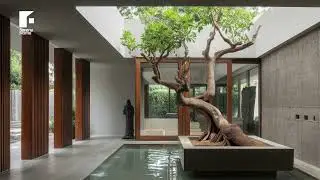 Organic Modern Design: The Secret to a Biophilic and COZY Indoor Space