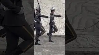 ⚡️禮兵進場超吸睛！🇹🇼Army Honor Guards from Taiwan ROC! #陸軍儀隊 #taiwan